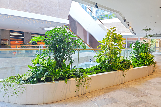 IM������(�й���)�ٷ���վ -APP����