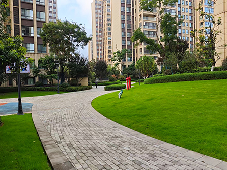 IM������(�й���)�ٷ���վ -APP����