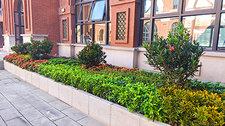 IM������(�й���)�ٷ���վ -APP����