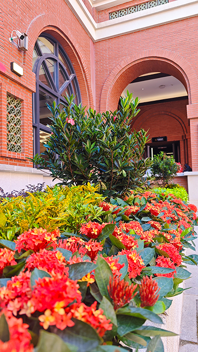 IM������(�й���)�ٷ���վ -APP����