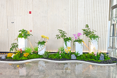 IM������(�й���)�ٷ���վ -APP����