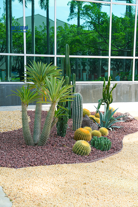 IM������(�й���)�ٷ���վ -APP����