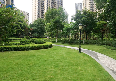 IM������(�й���)�ٷ���վ -APP����