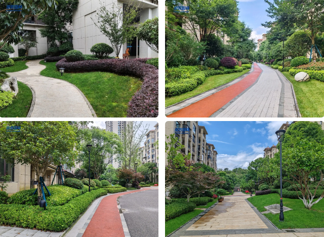 IM������(�й���)�ٷ���վ -APP����