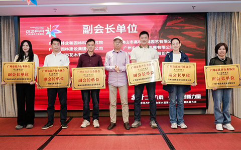 IM������(�й���)�ٷ���վ -APP����