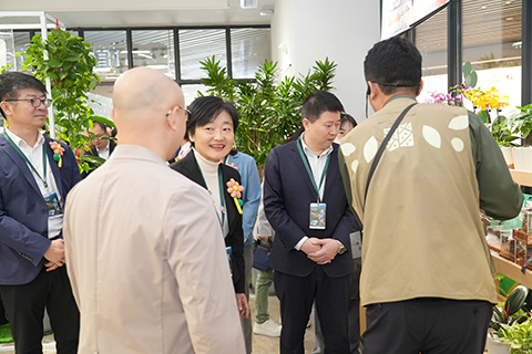 IM������(�й���)�ٷ���վ -APP����