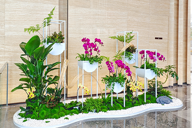 IM������(�й���)�ٷ���վ -APP����