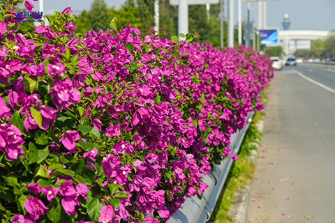 IM������(�й���)�ٷ���վ -APP����