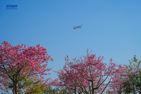 IM������(�й���)�ٷ���վ -APP����