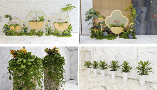 IM������(�й���)�ٷ���վ -APP����