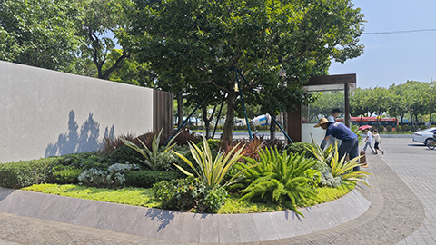 IM������(�й���)�ٷ���վ -APP����