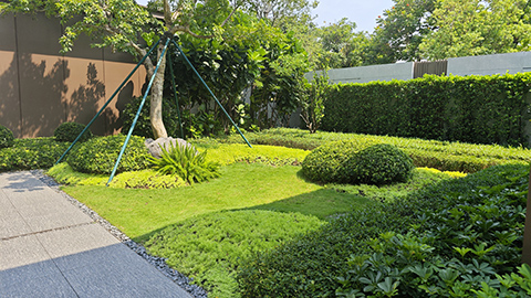 IM������(�й���)�ٷ���վ -APP����