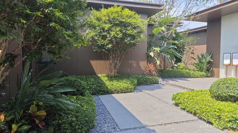 IM������(�й���)�ٷ���վ -APP����