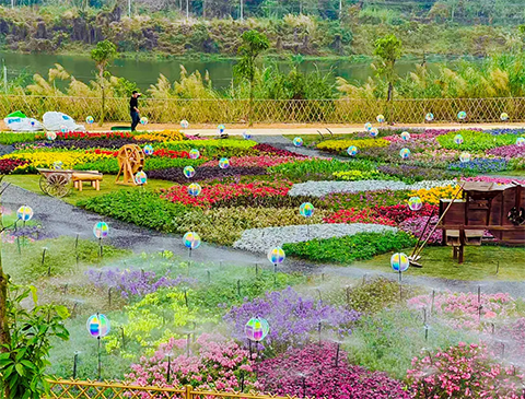 IM������(�й���)�ٷ���վ -APP����