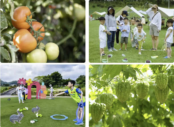 IM������(�й���)�ٷ���վ -APP����