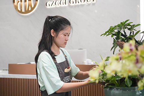 IM������(�й���)�ٷ���վ -APP����