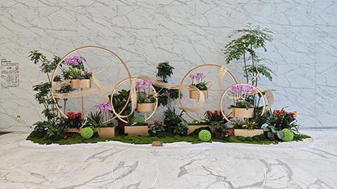 IM������(�й���)�ٷ���վ -APP����