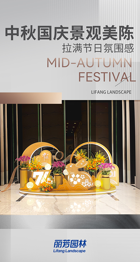 IM������(�й���)�ٷ���վ -APP����