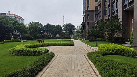 IM������(�й���)�ٷ���վ -APP����