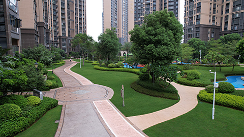 IM������(�й���)�ٷ���վ -APP����