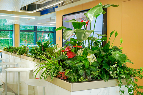 IM������(�й���)�ٷ���վ -APP����