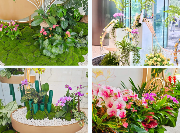 IM������(�й���)�ٷ���վ -APP����