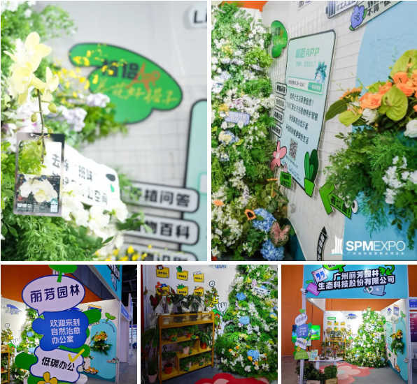 IM������(�й���)�ٷ���վ -APP����