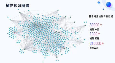 IM������(�й���)�ٷ���վ -APP����