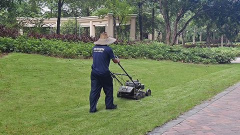 IM������(�й���)�ٷ���վ -APP����