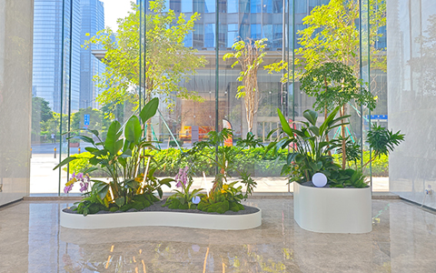 IM������(�й���)�ٷ���վ -APP����