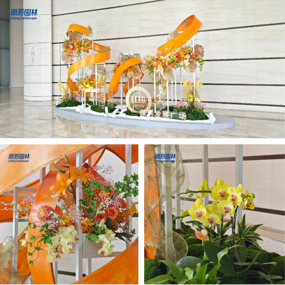 IM������(�й���)�ٷ���վ -APP����