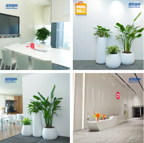 IM������(�й���)�ٷ���վ -APP����