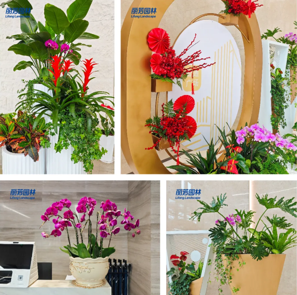 IM������(�й���)�ٷ���վ -APP����