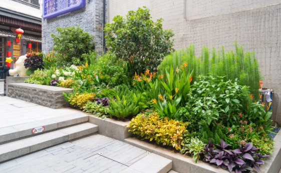 IM������(�й���)�ٷ���վ -APP����