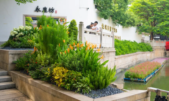 IM������(�й���)�ٷ���վ -APP����