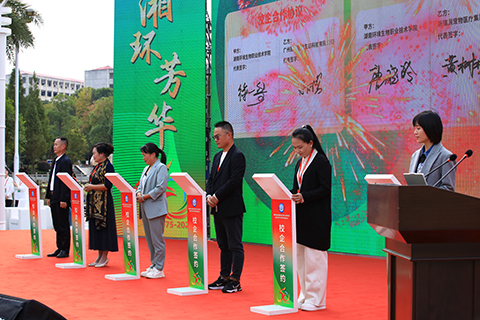 IM������(�й���)�ٷ���վ -APP����