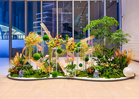 IM������(�й���)�ٷ���վ -APP����