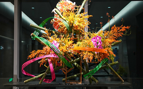 IM������(�й���)�ٷ���վ -APP����