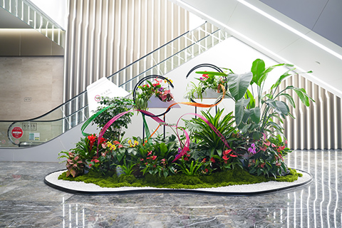 IM������(�й���)�ٷ���վ -APP����