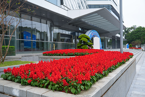 IM������(�й���)�ٷ���վ -APP����