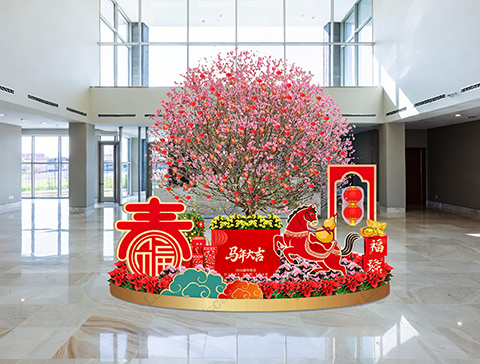 IM������(�й���)�ٷ���վ -APP����