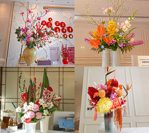 IM������(�й���)�ٷ���վ -APP����