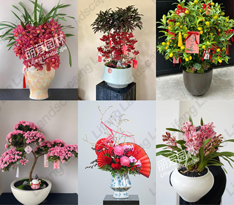 IM������(�й���)�ٷ���վ -APP����