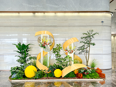 IM������(�й���)�ٷ���վ -APP����