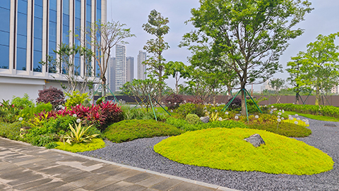 IM������(�й���)�ٷ���վ -APP����