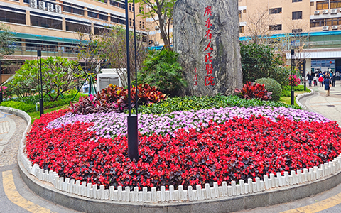 IM������(�й���)�ٷ���վ -APP����