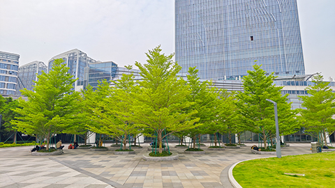 IM������(�й���)�ٷ���վ -APP����