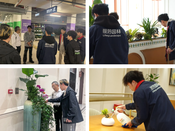 IM������(�й���)�ٷ���վ -APP����