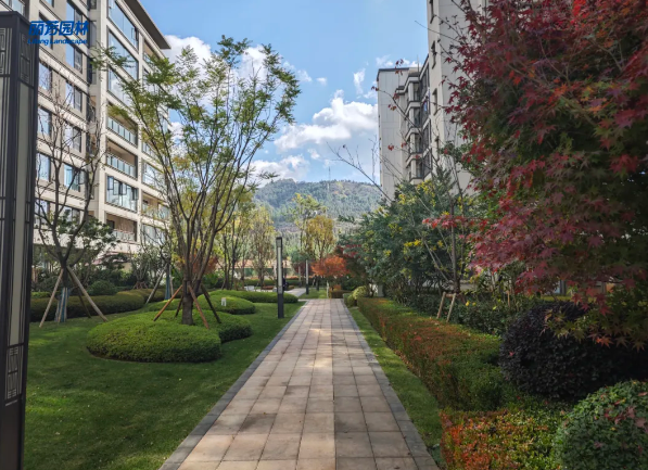 IM������(�й���)�ٷ���վ -APP����