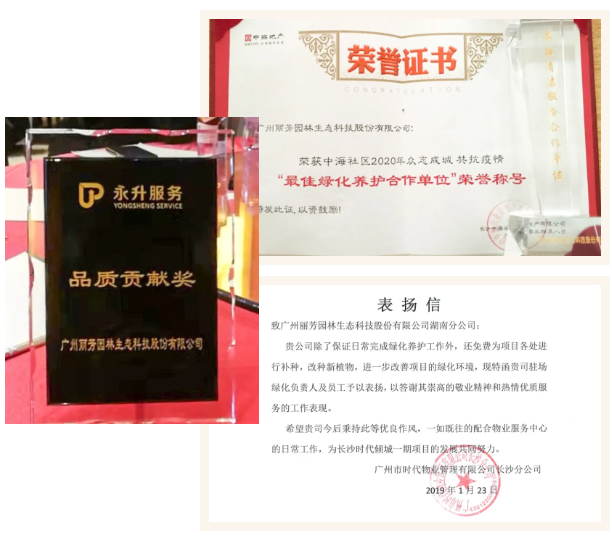 IM������(�й���)�ٷ���վ -APP����